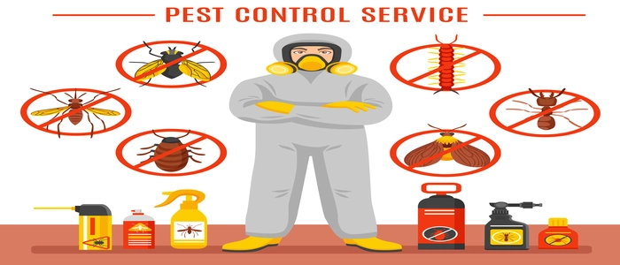 How to Do Your Own Pest Control at Home